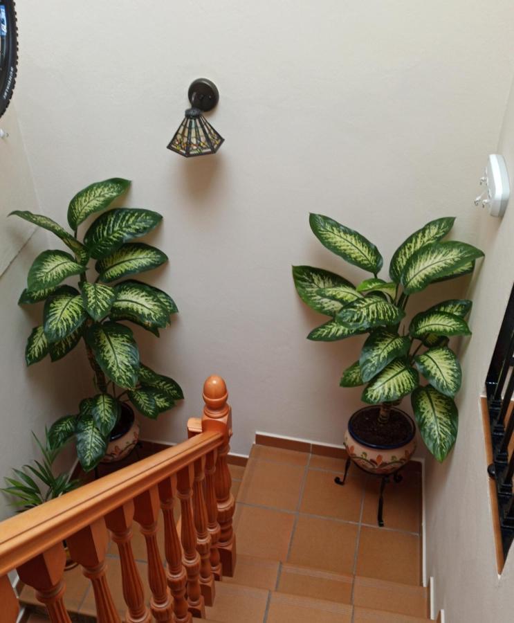Casa Rural Abril Setenil De Las Bodegas エクステリア 写真